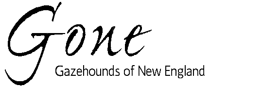 Gazehounds of New 
England